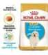 ROYAL CANIN Golden Retriever Puppy - dry dog food - 12 kg