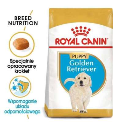 ROYAL CANIN Golden Retriever Puppy - dry dog food - 12 kg