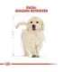 ROYAL CANIN Golden Retriever Puppy - dry dog food - 12 kg
