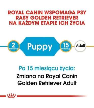 ROYAL CANIN Golden Retriever Puppy - dry dog food - 12 kg