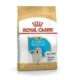 ROYAL CANIN Golden Retriever Puppy - dry dog food - 12 kg