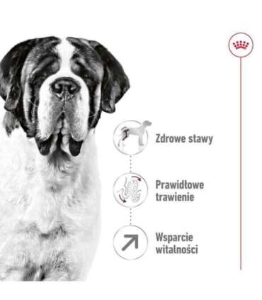 ROYAL CANIN Giant Adult - dry dog food - 15 kg