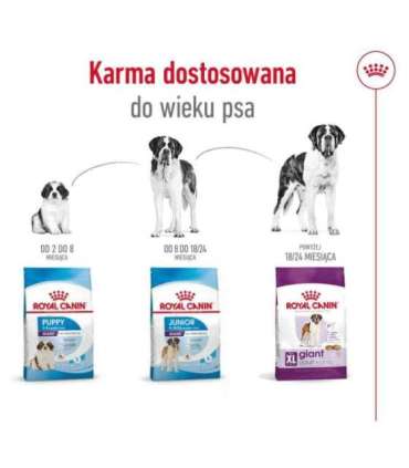 ROYAL CANIN Giant Adult - dry dog food - 15 kg