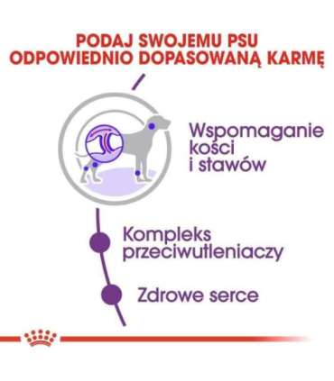 ROYAL CANIN Giant Adult - dry dog food - 15 kg