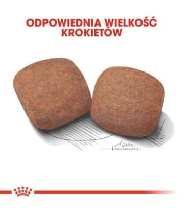 ROYAL CANIN Giant Adult - dry dog food - 15 kg