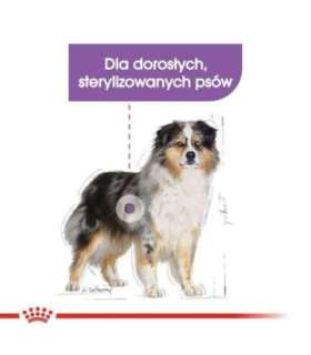 ROYAL CANIN Medium Sterilised dry dog food - 3 kg