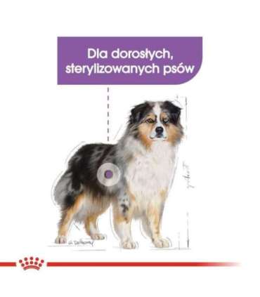 ROYAL CANIN Medium Sterilised dry dog food - 3 kg