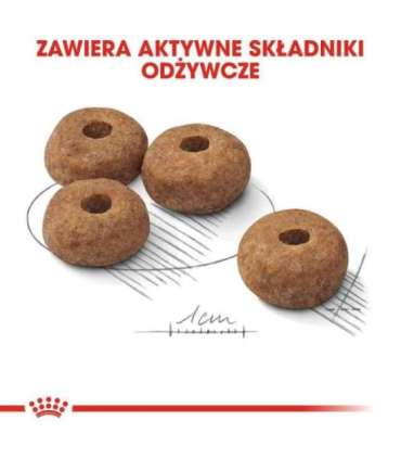 ROYAL CANIN Medium Sterilised dry dog food - 3 kg