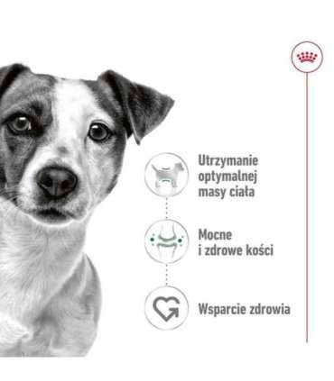 ROYAL CANIN Adult Mini S - dry dog food - 2kg