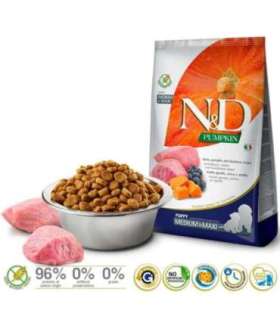 FARMINA N&D GF PUMPKIN DOG LAMB&BLUEBERRY PUPPY MEDIUM/MAXI 12kg