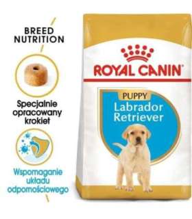 ROYAL CANIN SHN Breed Labrador Junior dry dog food - 12 kg