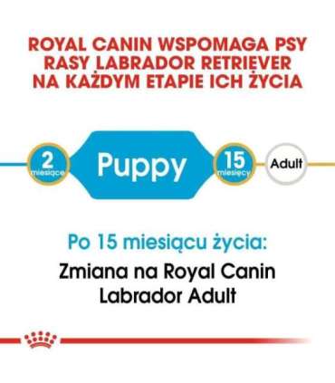 ROYAL CANIN SHN Breed Labrador Junior dry dog food - 12 kg