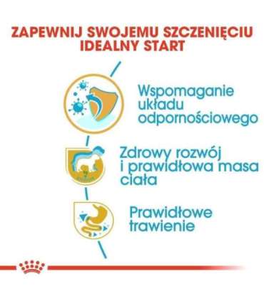 ROYAL CANIN SHN Breed Labrador Junior dry dog food - 12 kg