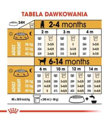 ROYAL CANIN SHN Breed Labrador Junior dry dog food - 12 kg