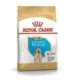 ROYAL CANIN SHN Breed Labrador Junior dry dog food - 12 kg