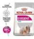 ROYAL CANIN Mini Exigent - dry food for fussy dogs - 1kg
