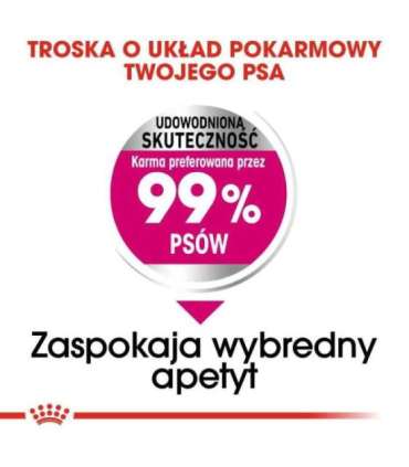 ROYAL CANIN Mini Exigent - dry food for fussy dogs - 1kg