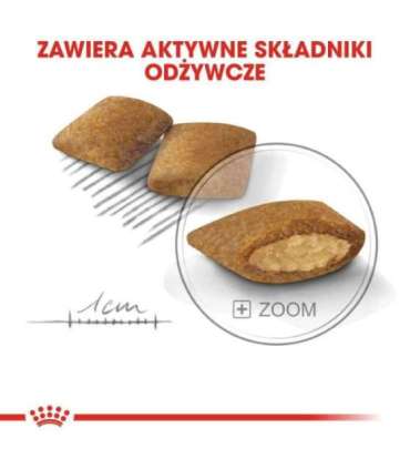 ROYAL CANIN Mini Exigent - dry food for fussy dogs - 1kg