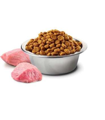 FARMINA N&D Brown Dog Lamb, Spirulina&Carrot Adult Mini - dry dog food - 2 kg