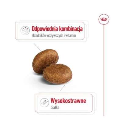 ROYAL CANIN Maxi Adult 5+ - dry dog food - 15 kg