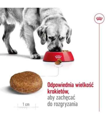 ROYAL CANIN Maxi Adult 5+ - dry dog food - 15 kg