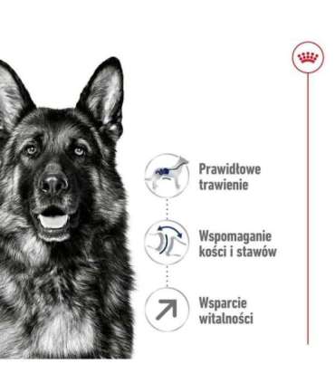 ROYAL CANIN Maxi Adult 5+ - dry dog food - 15 kg