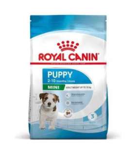 ROYAL CANIN Mini Puppy SHN - dry dog food - 2 kg