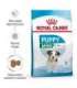 ROYAL CANIN Mini Puppy SHN - dry dog food - 2 kg