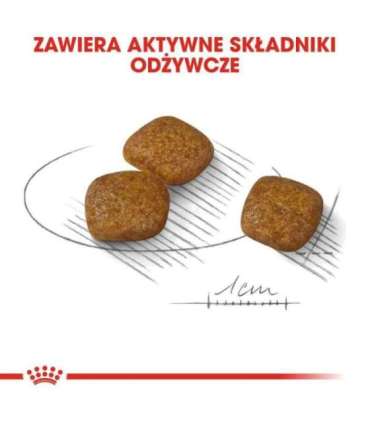 ROYAL CANIN Mini Urinary Care - dry dog food - 1 kg