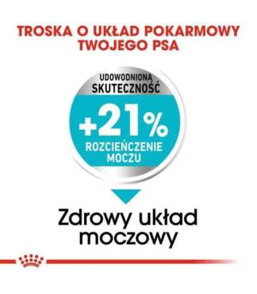 ROYAL CANIN Mini Urinary Care - dry dog food - 1 kg