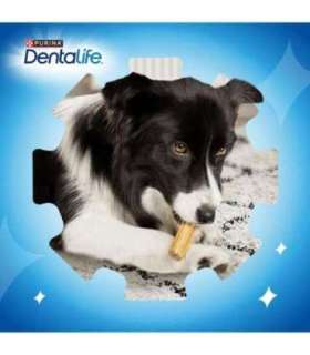 PURINA Dentalife Extra Mini - Dental snack for dogs - 69 g