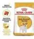 ROYAL CANIN Jack Russell Adult dry dog food - 1.5 kg