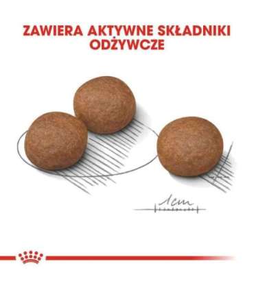 ROYAL CANIN CCN Medium Digestive Care - dry dog food - 3 kg