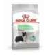 ROYAL CANIN CCN Medium Digestive Care - dry dog food - 3 kg