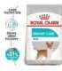 ROYAL CANIN Mini Urinary Care - dry dog food - 3 kg
