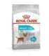 ROYAL CANIN Mini Urinary Care - dry dog food - 3 kg