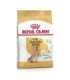 ROYAL CANIN Yorkshire Terrier 8+ Dry dog food Poultry 1,5 kg