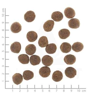 WOLFSBLUT VetLine Gastrointestinal Duck - dry dog food - 2kg