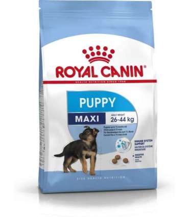 Royal Canin SHN Maxi Puppy - dry puppy food - 4kg