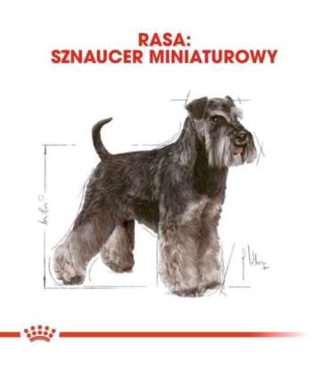 ROYAL CANIN Miniature Schnauzer Adult - dry dog food - 3 kg