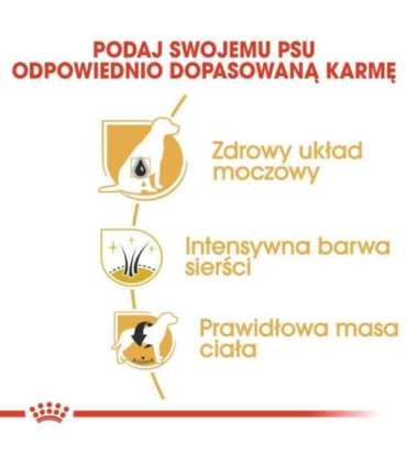 ROYAL CANIN Miniature Schnauzer Adult - dry dog food - 3 kg