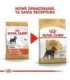 ROYAL CANIN Miniature Schnauzer Adult - dry dog food - 3 kg