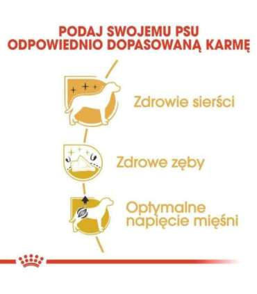 Royal Canin Poodle Adult 1.5 kg