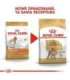 Royal Canin Poodle Adult 1.5 kg