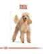 Royal Canin Poodle Adult 1.5 kg