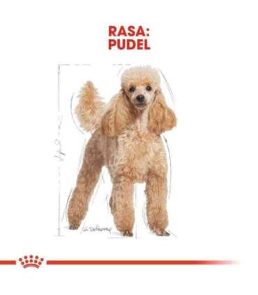Royal Canin Poodle Adult 1.5 kg