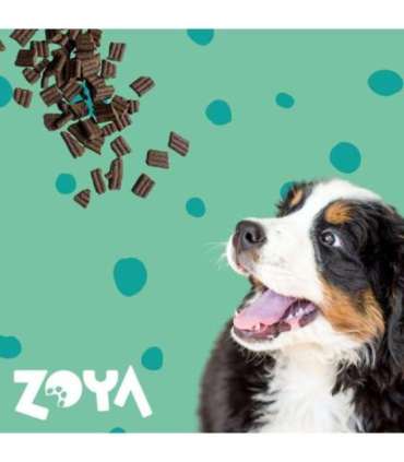 ZOYA ColdPRO Deer - dry dog food - 9kg