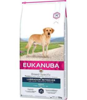 EUKANUBA Labrador Retriever Adult - dry dog food - 12 kg