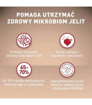 PURINA One Mini Adult Beef, Rice - Dry Dog Food - 800 g