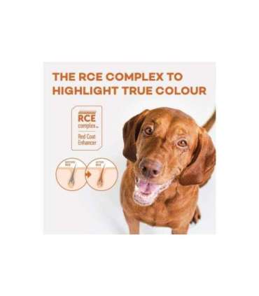 NATURE'S PROTECTION Superior Care Red Coat Adult Small breed Grain free Salmon - dry dog food - 1,5kg